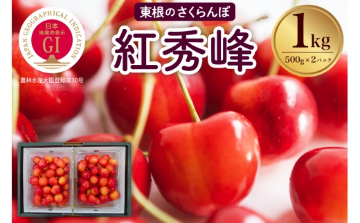2026年産 先行予約】山形東根市産 GI さくらんぼ「紅秀峰」1kg 滝口