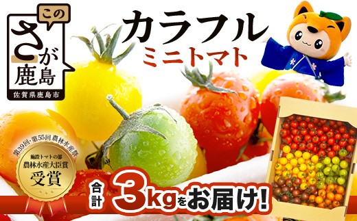 岩永さんちの カラフルミニトマト (5色) 3kg |【農林水産大臣賞受賞