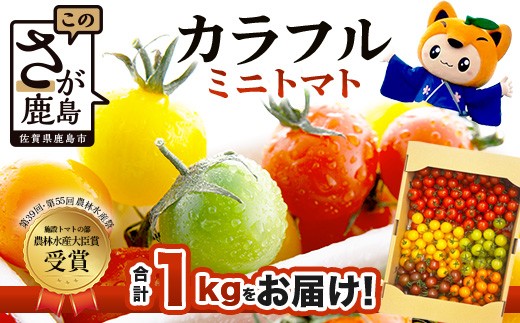岩永さんちの カラフル ミニトマト 5色 約1kg |【農林水産大臣賞受賞