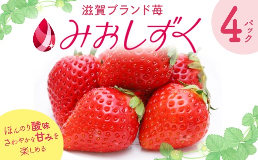 いちご みおしずく 2箱4パック入り 株式会社東近江あぐり