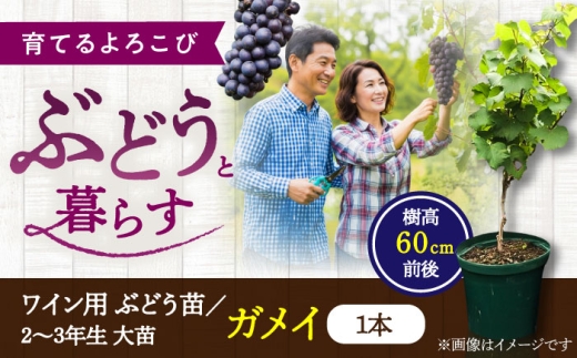 sd1_29a04b0f8d73c7cb2f4aff270e