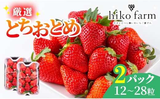 期間限定】ごほうびいちご（厳選とちおとめ）2パック入り（12～28粒