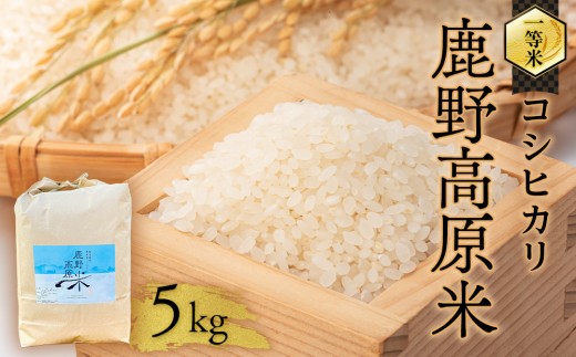 令和7年産 コシヒカリ 5 kg 鹿野高原米 精米 3日以内発送 - 山口県周南