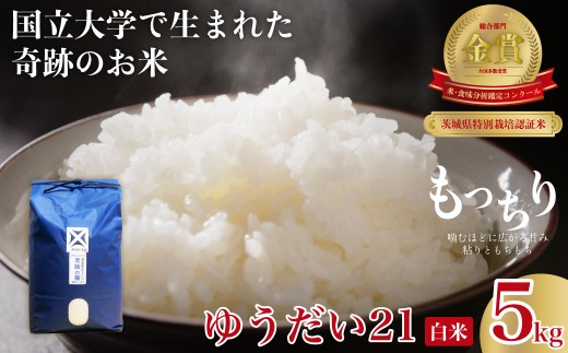 食品大量追加【本日発送！】農家直送米3.5kg＋太陽のプルーンなど食品詰め合わせ 水菜土農園 | あきたこまち、ミルキークイーン、サキホコレなどを農家