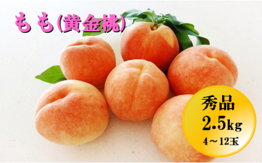 08-05-005 もも(黄金桃)2.5kg - 山形県天童市｜ふるさとチョイス