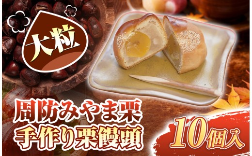 周防みやま栗 10 個 大粒 栗饅頭 ｜ 和菓子 茶菓子 お茶うけ