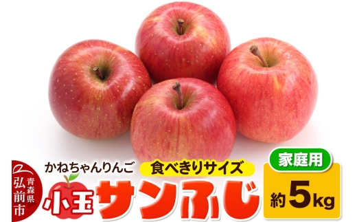 寄附金額見直しました】【25年12月～発送】【りんご】かねちゃんりんご