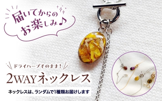 ネックレス ハーブ纏うアクセサリー 2WAYネックレス 【ハーブおまかせ 
