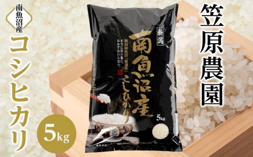 令和7年産】南魚沼産コシヒカリ5kg 【銘柄米 ブランド米 精米