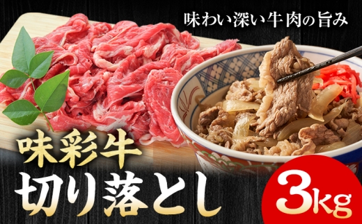 味彩牛 切り落とし 3kg（500g×6パック） のぐち産業株式会社《90日以内