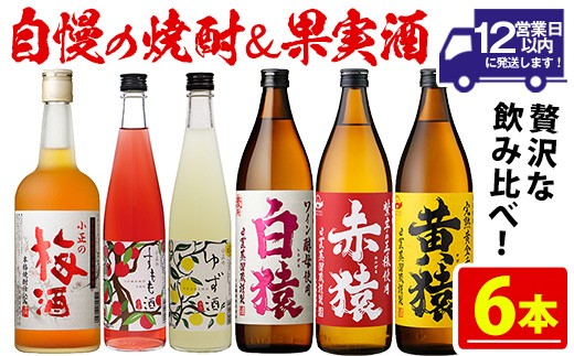 No.111 焼酎・果実酒飲み比べセット(計6本) 焼酎 梅酒 酒 麦焼酎 芋
