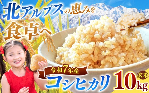 コシヒカリ 玄米 約10kg 令和7年産 長野県松川村