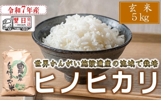 玄米】 【 最短 翌日発送 】令和7年産 ヒノヒカリ 八千種米 お米 5kg 