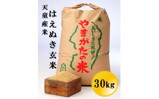08-05-035 はえぬき玄米30kg[令和8年産] - 山形県天童市｜ふるさと