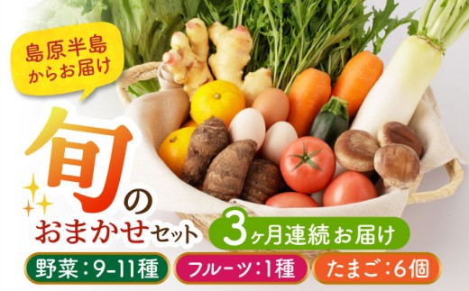 MIRA様専用⭐️季節のお野菜セット 【公式通販】