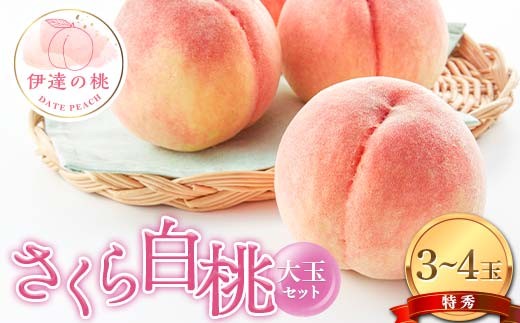 2026年出荷分先行予約】福島県産 さくら白桃の特秀 大玉 3～4玉入り