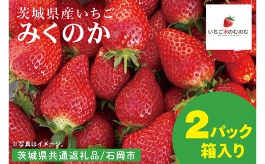 数量限定】【離島配送不可】みくのか 2パック/箱【茨城県共通返礼品