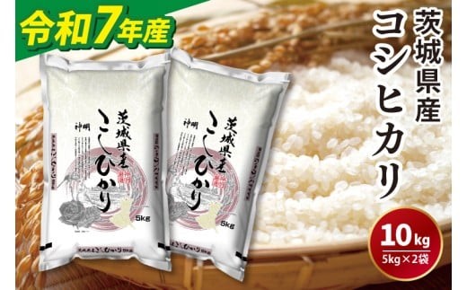 最終出品 令和7年度 茨城県産 こしひかり 中米 玄米 7kg 7キロ