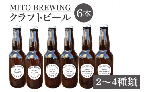第1回水戸さきがけビジネス大賞 優秀賞受賞！クラフトビール 6本