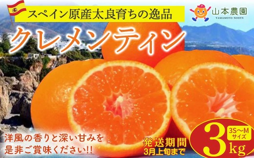 山本農園のクレメンティン 3kg 【2026年3月上旬迄順次発送予定