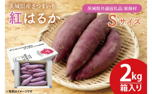 茨城県産紅はるか40キロ　izu-mo@品 茨城県産紅はるか40キロ あっぷる様専用品 【公式通販】