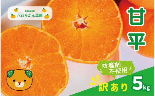 数量限定 訳あり 甘平 5kg 15000円 わけあり かんぺい 高級 人気