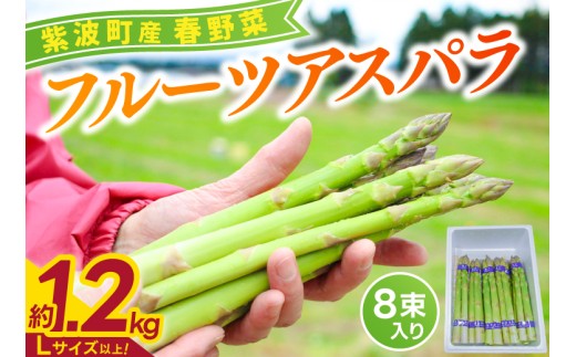 先行予約・数量限定／紫波町産 フルーツアスパラ ☆Lサイズ以上☆ 約