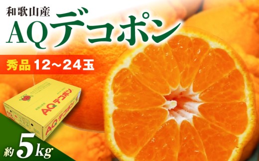 DN6012n_【2027年先行予約】和歌山県産 AQ デコポン 5kg 秀品 (12～24