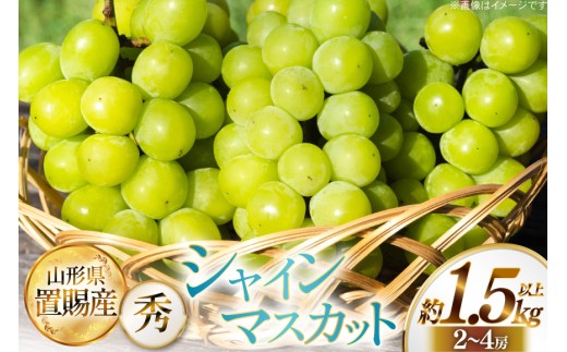 期間限定発送】 シャインマスカット 秀 2～4房 約 1.5kg 以上 [JA山形