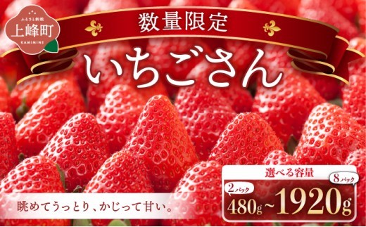 ☆赤い宝石☆佐賀県産いちごさん 【選べる容量】240g×8P (計1920g