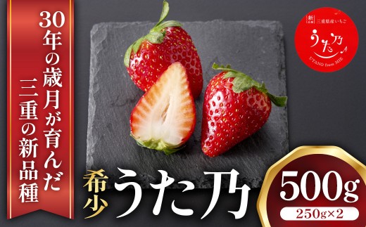三重県オリジナルいちご新品種 希少な「うた乃」500g（250g×2