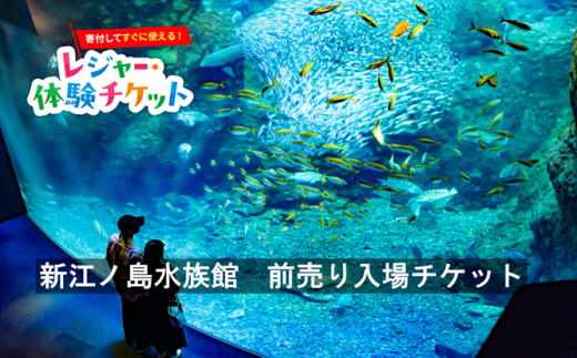 即時利用可/電子チケット】新江ノ島水族館 前売り入場チケット