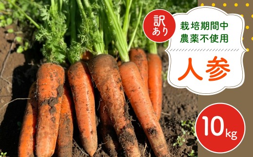 12月～2月発送】【栽培期間中農薬不使用】訳あり人参10㎏ AIBA FARM