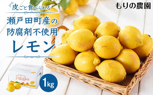12国産瀬戸田レモン10kg前後 広島県瀬戸田産【訳あり】レモン 10kg 商品詳細 あおいくま｜季節ごと