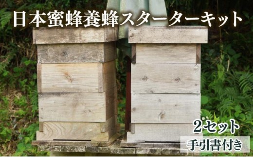 西洋蜜蜂　種蜂（予約） 養蜂スターターキット&サポート付 2027年春予約」 西洋ミツバチ飼育種蜂4枚群 女王蜂1匹 （3枚は育児枠