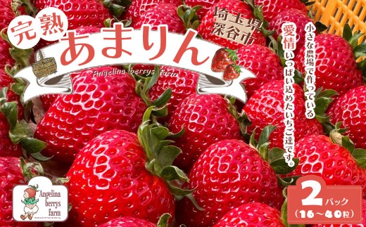 Angelina berrys farm あまりん16粒～40粒 2パック入り箱詰めいちご