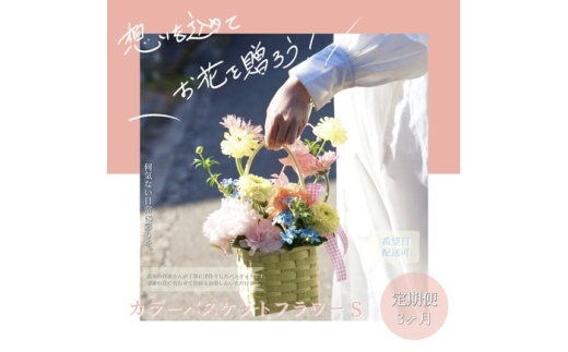 3回定期便】季節の生花カラーバスケットフラワーS / お花 フラワー