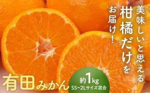 2026年先行予約】有田みかん1㎏サイズ混合_AN6114 - 和歌山県湯浅町