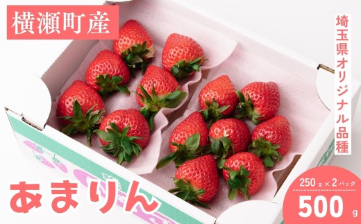 数量限定】埼玉県産ブランドいちご「あまりん」250g×2パック | いちご