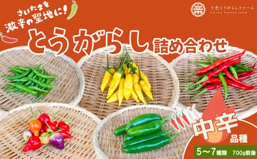 十色とうがらしファーム】とうがらし＜中辛＞品種詰合せ【11100-0807