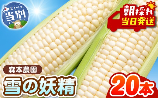 2026年先行予約】森本農園 とうもろこし「雪の妖精」20本セット