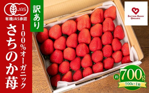 訳ありいちご とくしまオーガニックいちご（約700g）ご家庭用｜いちご