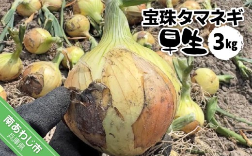 �ԗ�i�摜
