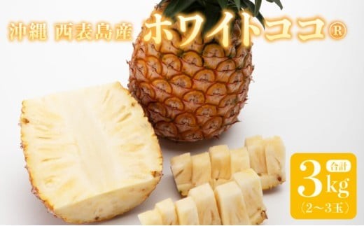リピーター続出の希少種パイン！ 数量限定販売 先行予約 パイナップル