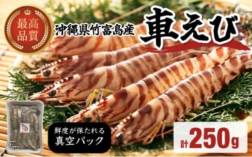 車えび 竹富島産 真空パック（冷凍） 250g - 沖縄県竹富町｜ふるさと