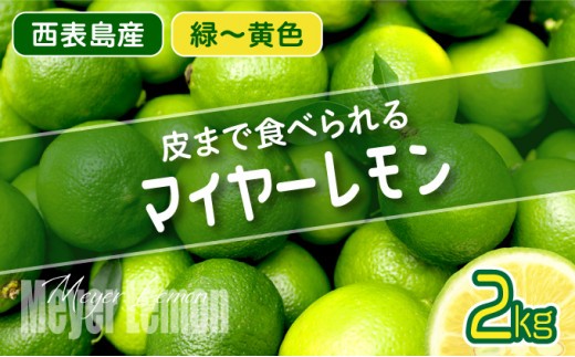 匿名発送！マイヤーレモン　70個　香川県産 レモン※【2026年12月上旬より順次発送／先行予約】マイヤーレモン 5kg