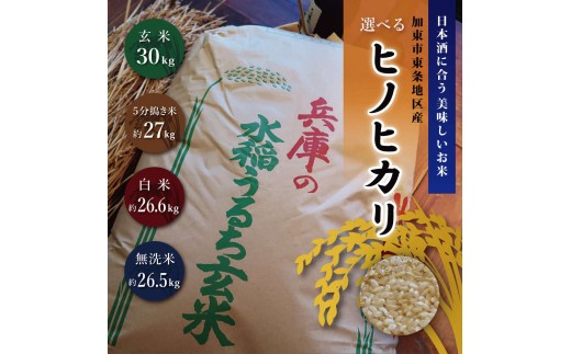 令和7年産 》日本酒に合う ヒノヒカリ 玄米 30kg 精米歩合選択可[ 米
