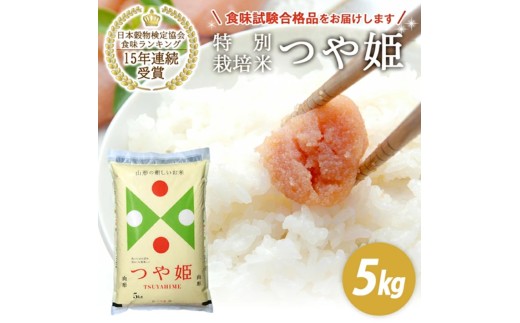 令和7年産【精米】山形県産 特別栽培米 つや姫 5kg (5kg×1袋) JS SA2942
