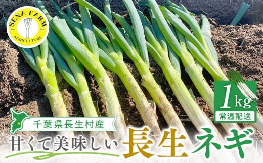 AD01 長生ねぎ - 千葉県長生村｜ふるさとチョイス - ふるさと納税サイト