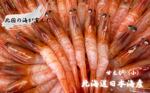 8-012-004 増毛産 獲れたての冷凍甘えび 1kg - 北海道増毛町 - ふるさと納税サイト